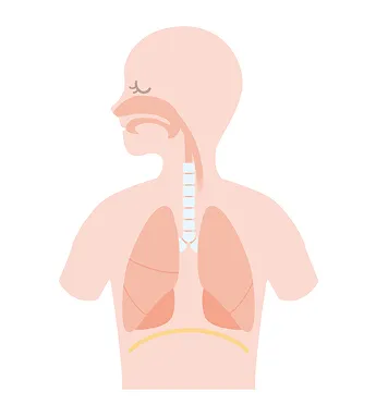 気管支喘息のイメージ